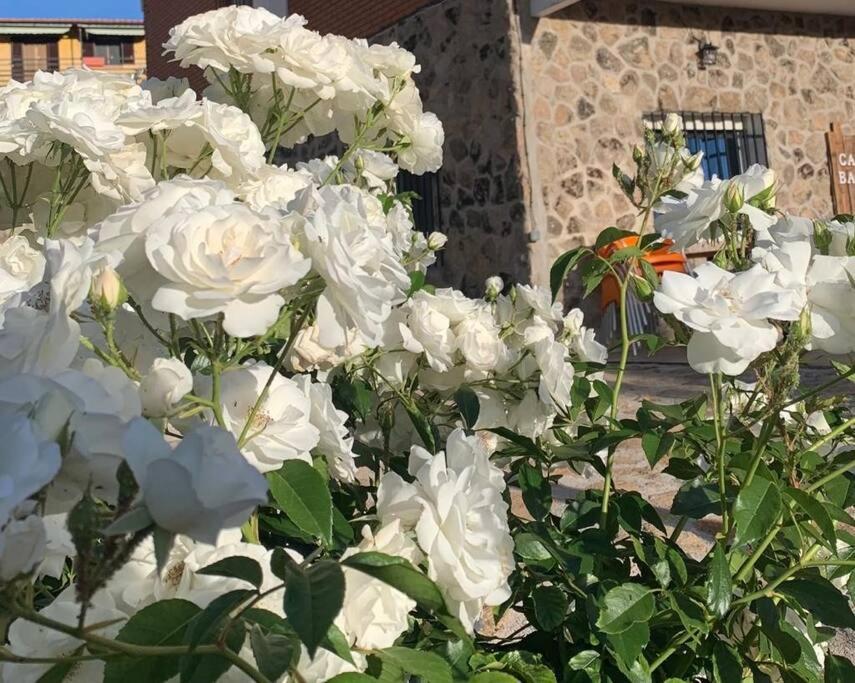 Ávila Casa Baltaヴィラ エクステリア 写真