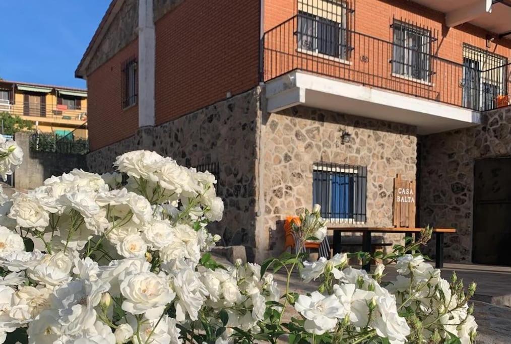 Ávila Casa Baltaヴィラ エクステリア 写真
